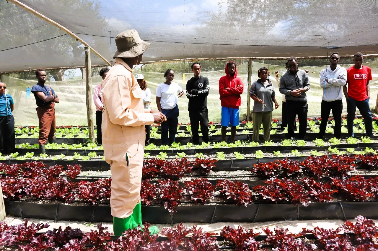 Osiligi Farm landscape 4